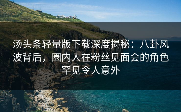 汤头条轻量版下载深度揭秘：八卦风波背后，圈内人在粉丝见面会的角色罕见令人意外
