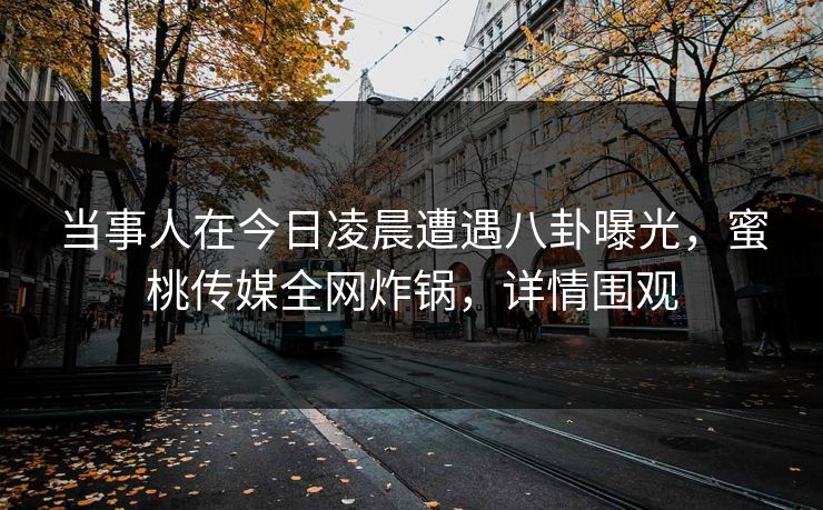 当事人在今日凌晨遭遇八卦曝光，蜜桃传媒全网炸锅，详情围观