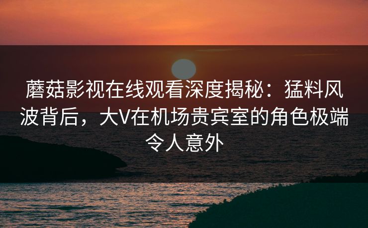 蘑菇影视在线观看深度揭秘：猛料风波背后，大V在机场贵宾室的角色极端令人意外